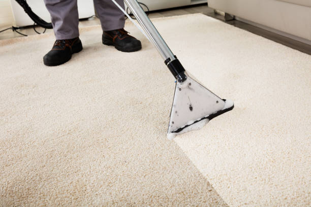 Affordable Carpet Cleaning and Stain Removal